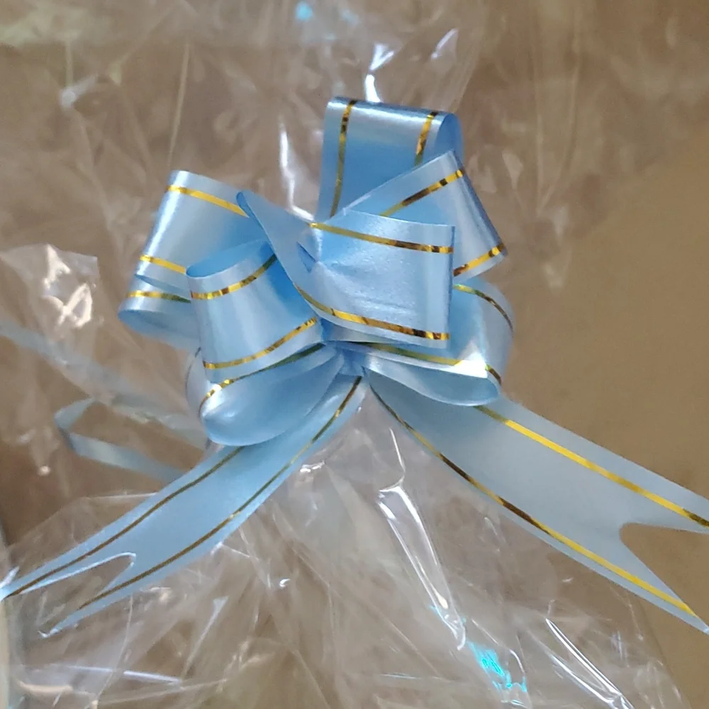 Clear Gift/Storage Bag with Blue Ribbon nwot